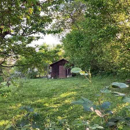 Bed & Breakfast Sous Le Bon Toit Belley